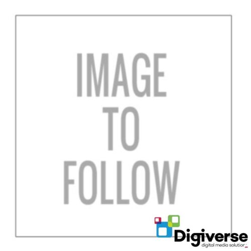 Digiverse Branded 8GB USB Flash Memory Drive