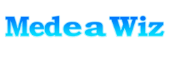 MedeaWiz
