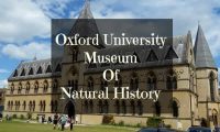 Oxford-University-Museum-of-Natural-History
